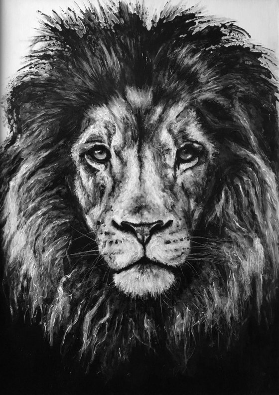 Lion Black and white