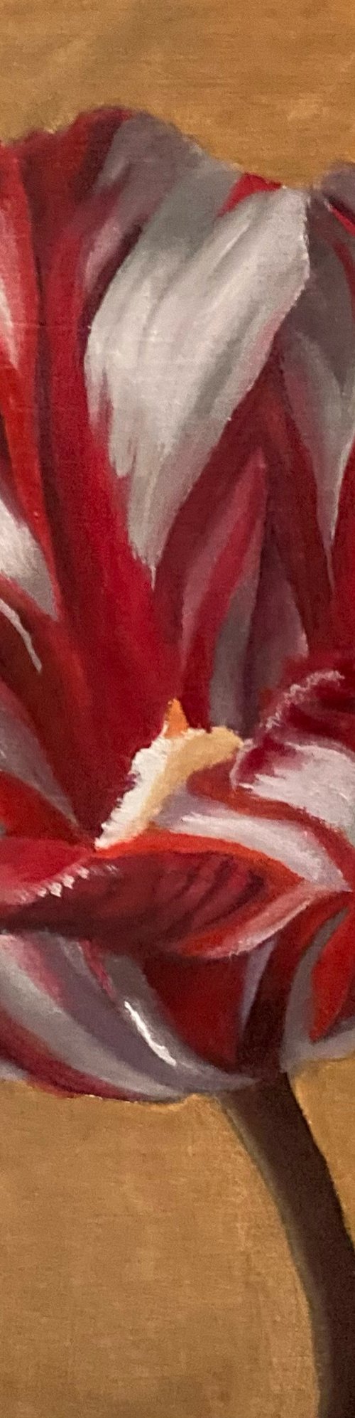 Striped Tulip (2025) by Tatyana Holodnova