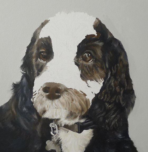 Cockapoo Dog Portrait