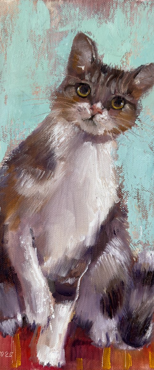 Cute cat by Olha Laptieva