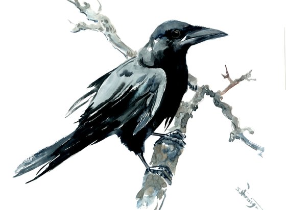 Crow watercolor painting