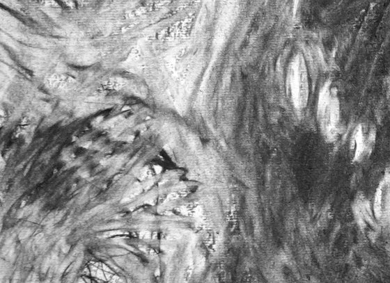 River Flow Patterns (Source)