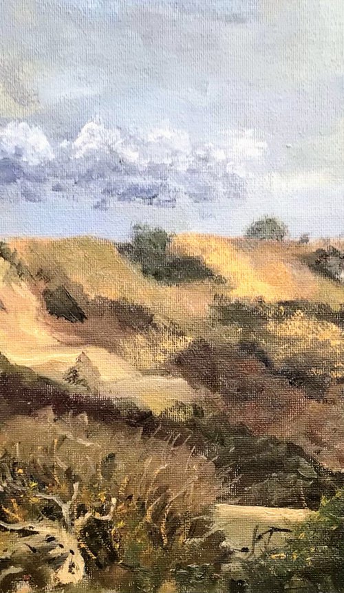 View from Steamer point, Dorset, an oil painting. by Julian Lovegrove Art