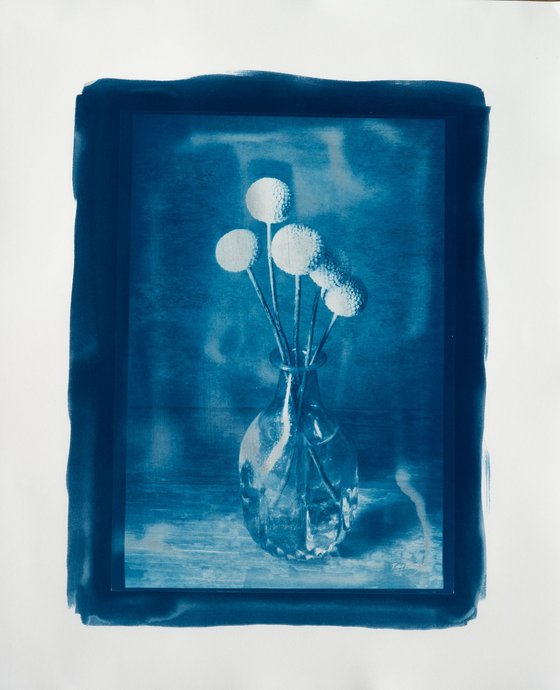 Flowerpower Cyanotype 2026