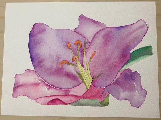Purple lilies in watercolour