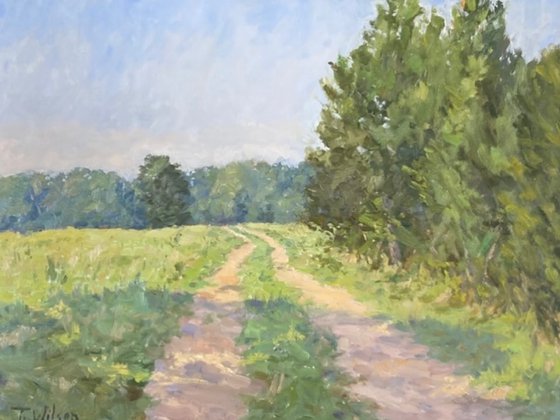 Road to Turkey Tree
