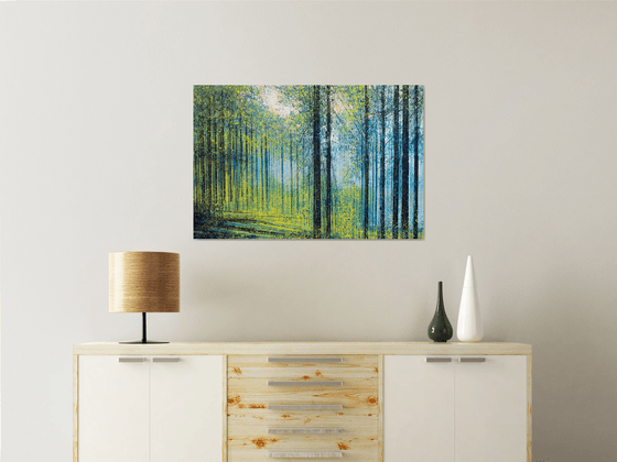 Forest Trees With Yellow Light