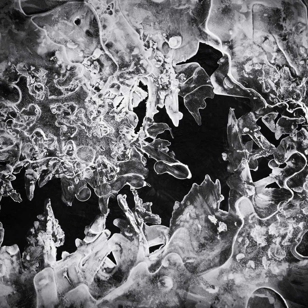 Photorealistic Abstract Photograph By Christian Schwarz, 17 X 17, Flow Graphics V, Original Artwork