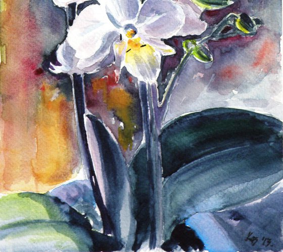 Orchid flower