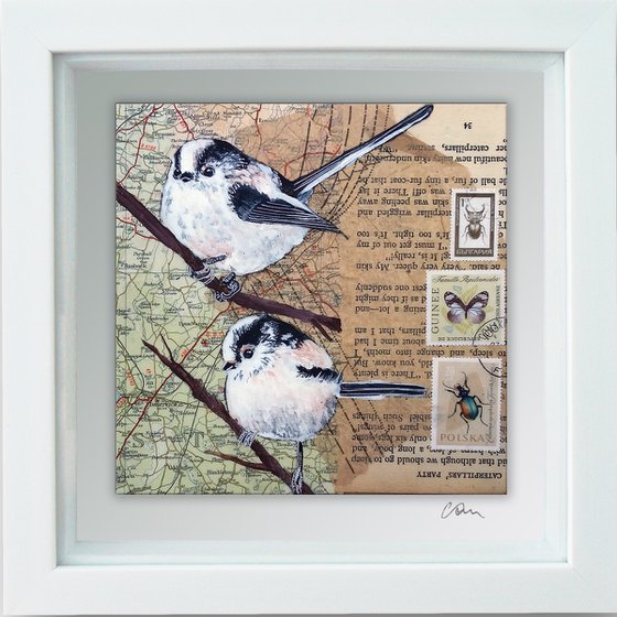 Long tailed tits - Ornithology #10 - Framed ready to hang original painting