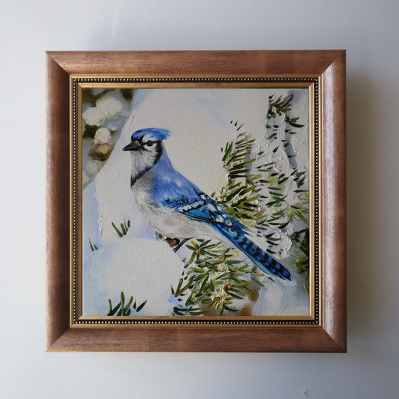 White bird