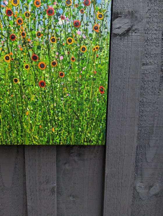 A Symphony Of Poppies #2