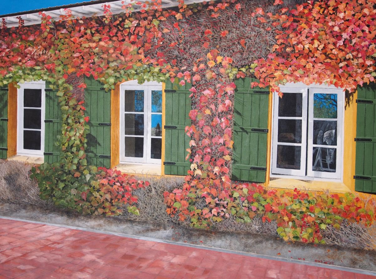 Sonoma Vineyard By Steven Fleit, 40 X 30, Artwork For Sale On Artfinder