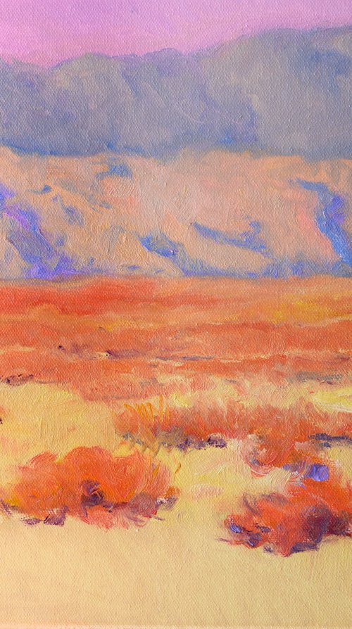 Desert. Southwest by Suren Nersisyan