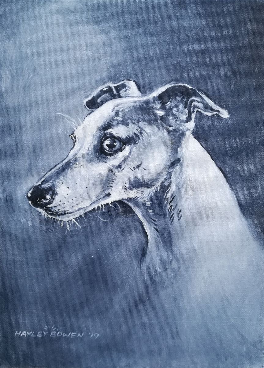 Whippet 2 by Hayley Bowen