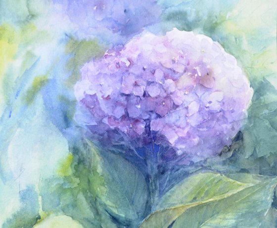 HYDRANGEAS X original watercolor 25x20