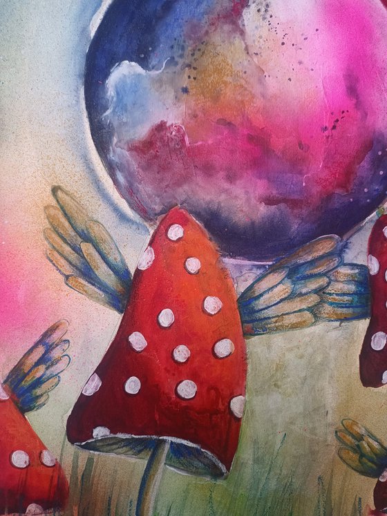 Where Mushrooms Dream