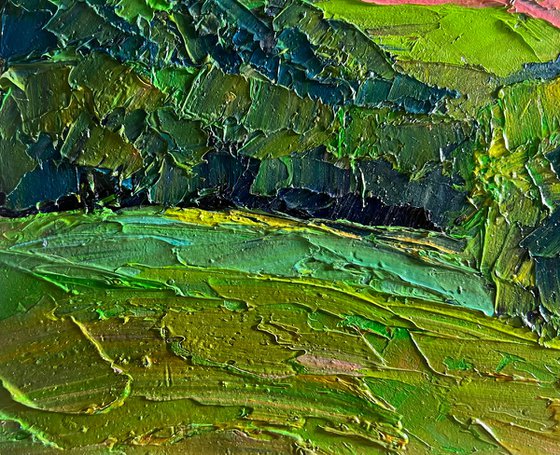 Summer Meadows and Forests