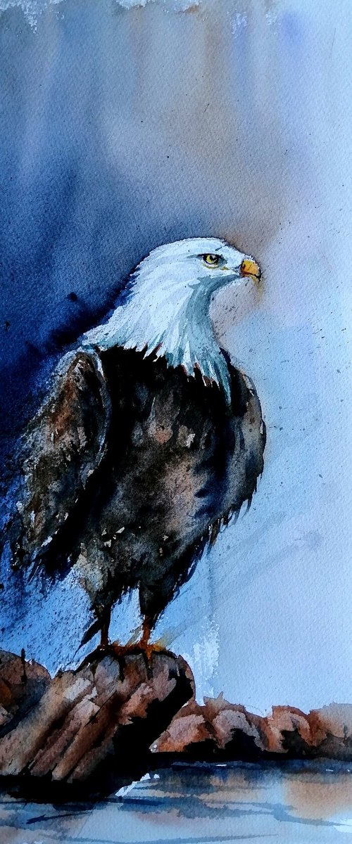 eagle 2 by Giorgio Gosti
