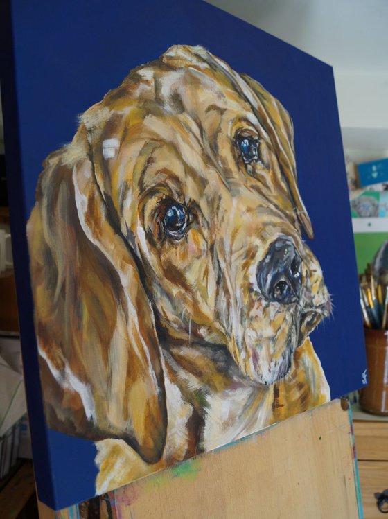 Labradorable (Dog Portrait)
