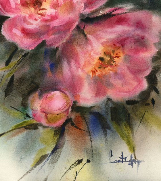 Pink Peonies