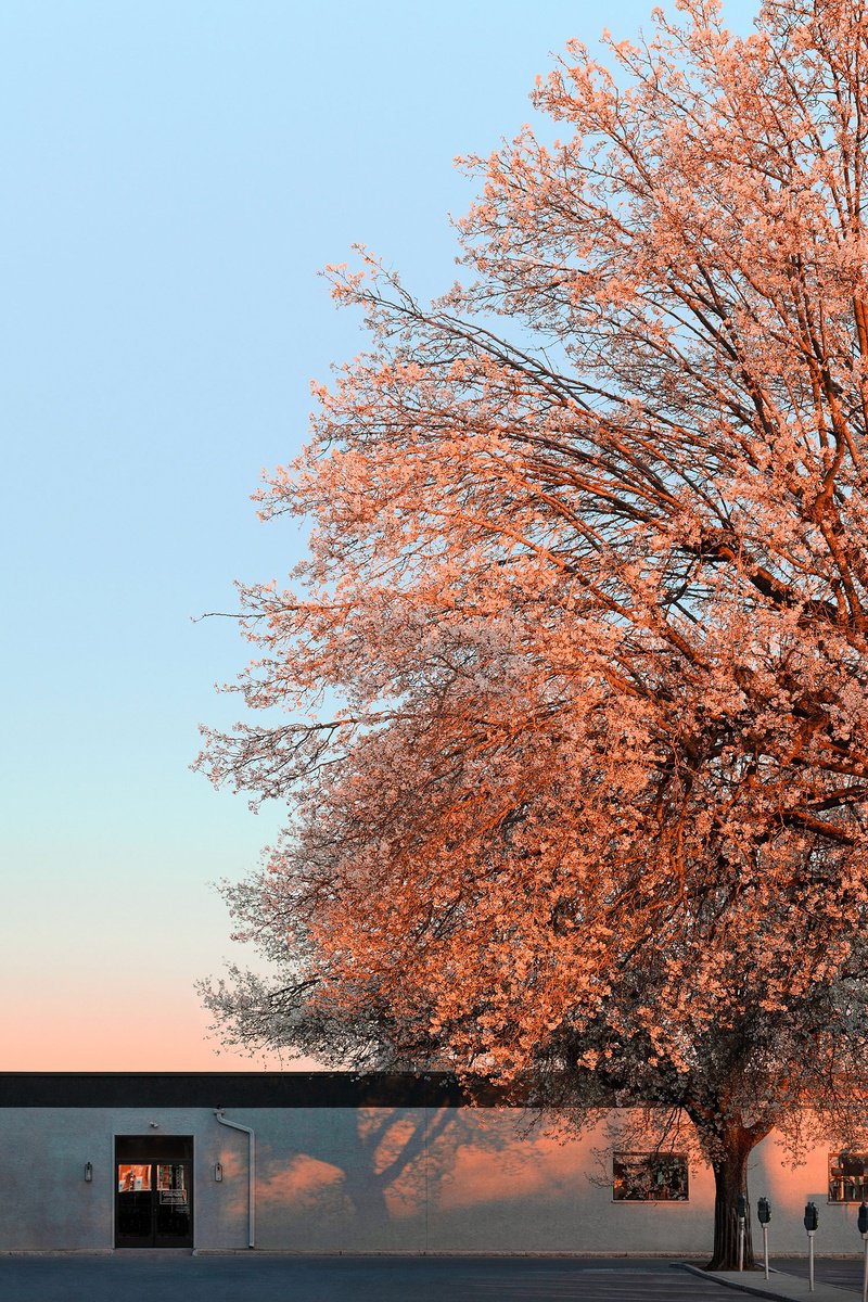 Impressionistic Cityscapes Photograph By Journey Gong, 29 X 43", Here Comes The Sun, Original Artwork