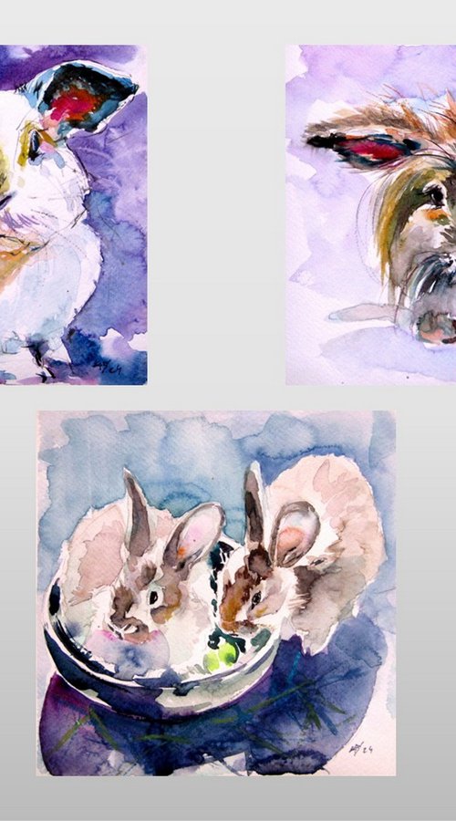 Cute rabbits collection II by Kovács Anna Brigitta
