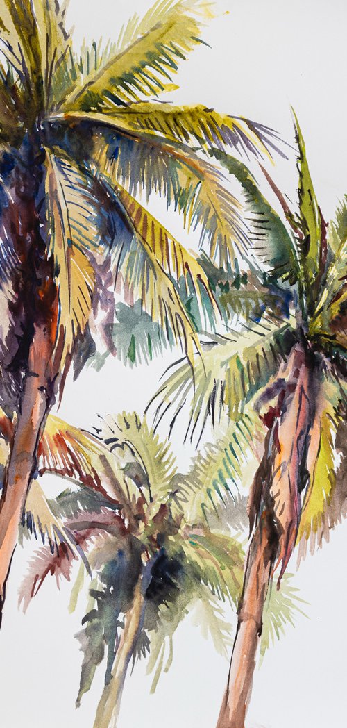 Coconut Palm Trees by Suren Nersisyan