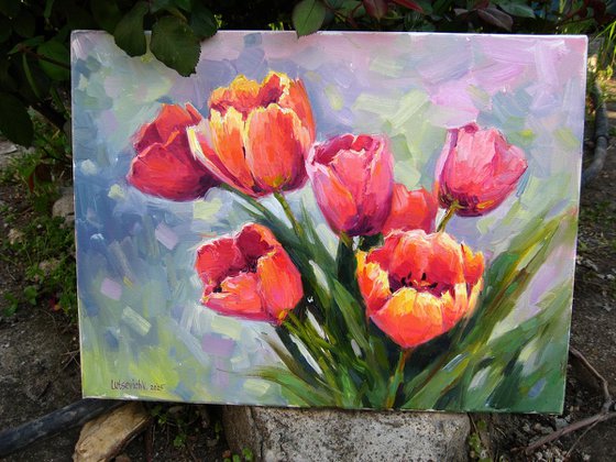 Bouquet of tulips