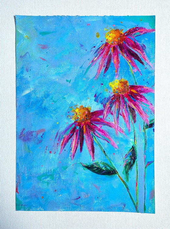 Echinacea