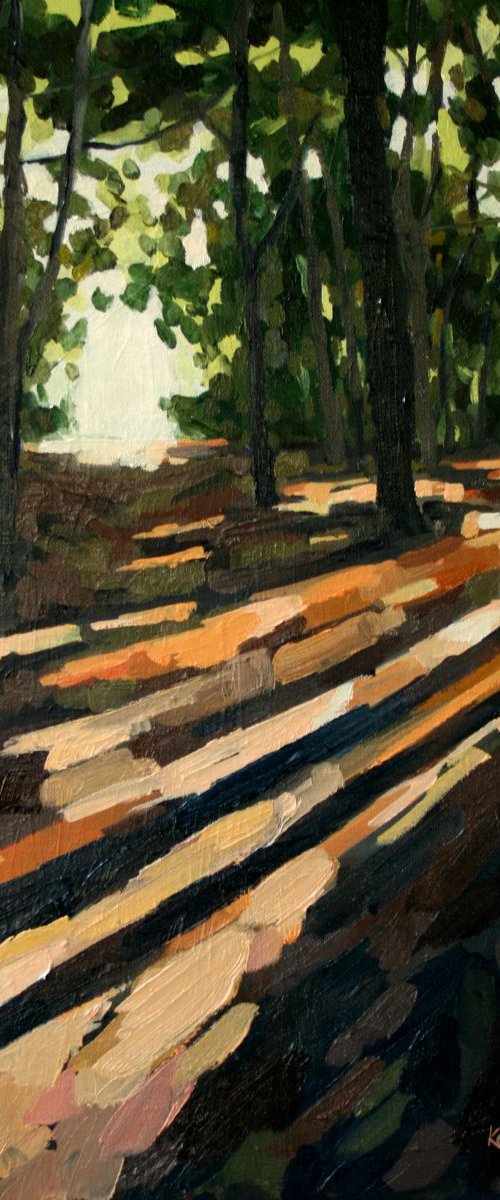 October light on Wimbledon Common by Katharine Rowe