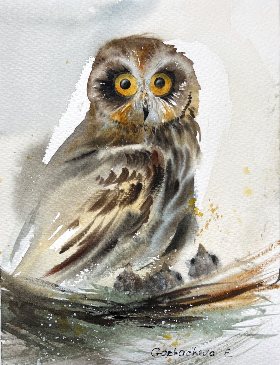 Impressionistic Animal Watercolour By Eugenia Gorbacheva, 6 X 8, Owl In The Nest, Original Artwork