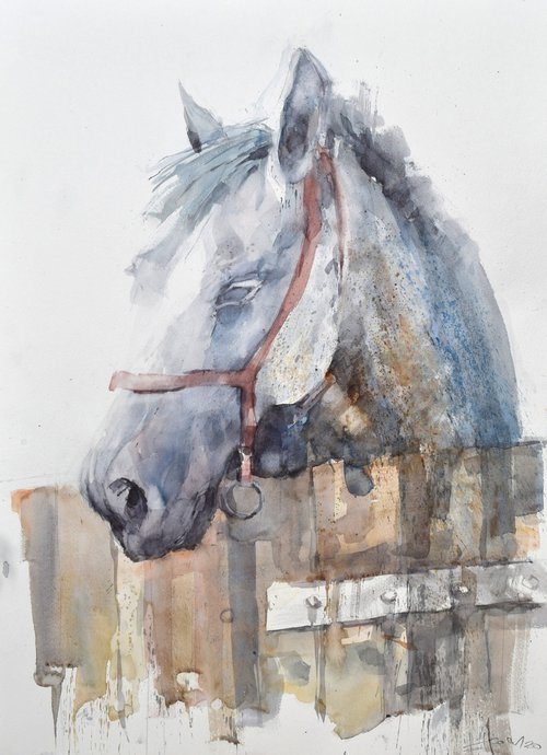 Head of horse 09(70x50) by Goran Žigolić Watercolors