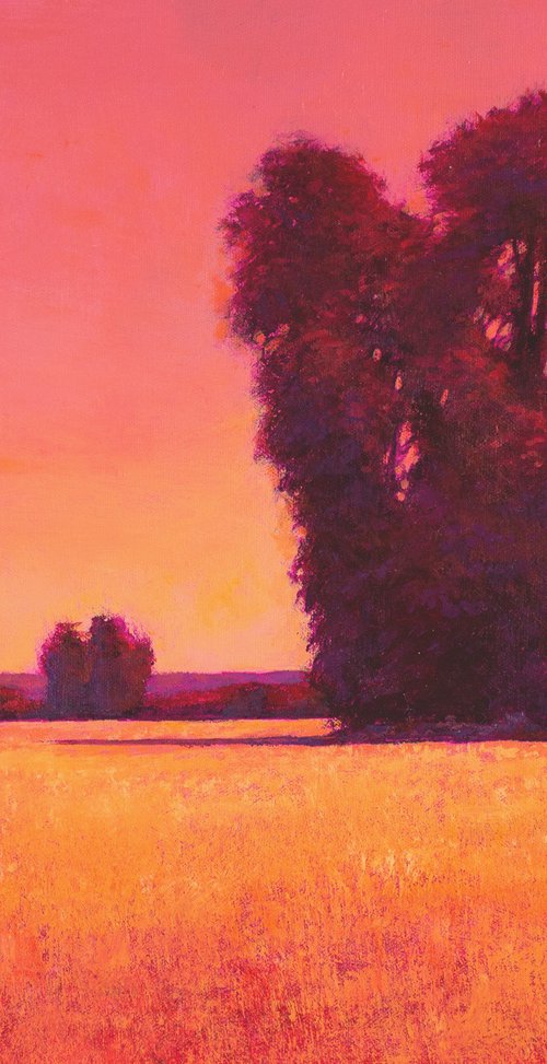 Pink Sunset Field 240202 by Don Bishop