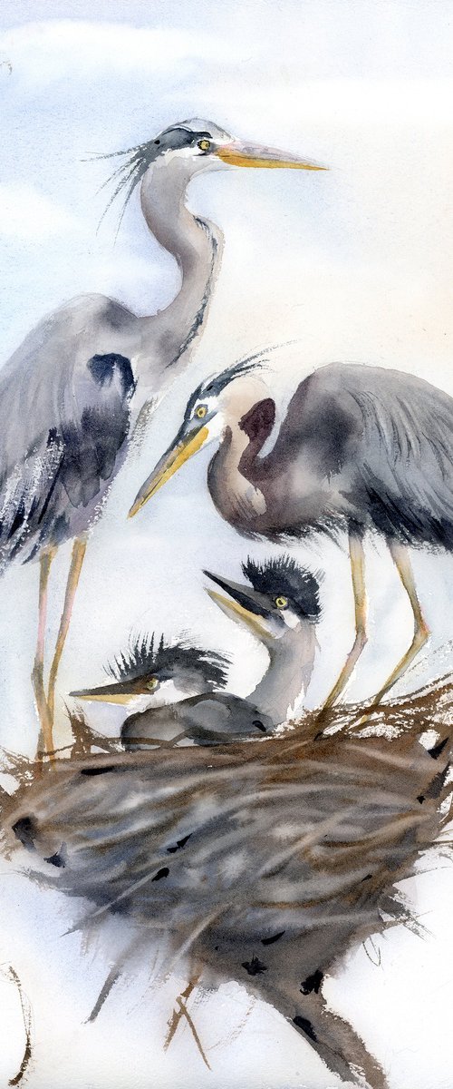 Heron Family #1 by Olga Tchefranov (Shefranov)