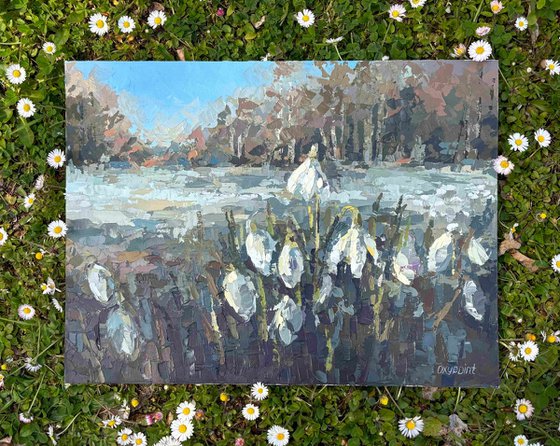 "Snowdrops"