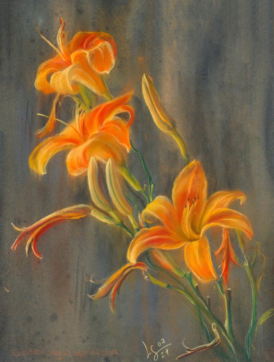 Orange daylily, 3 flowers and buds