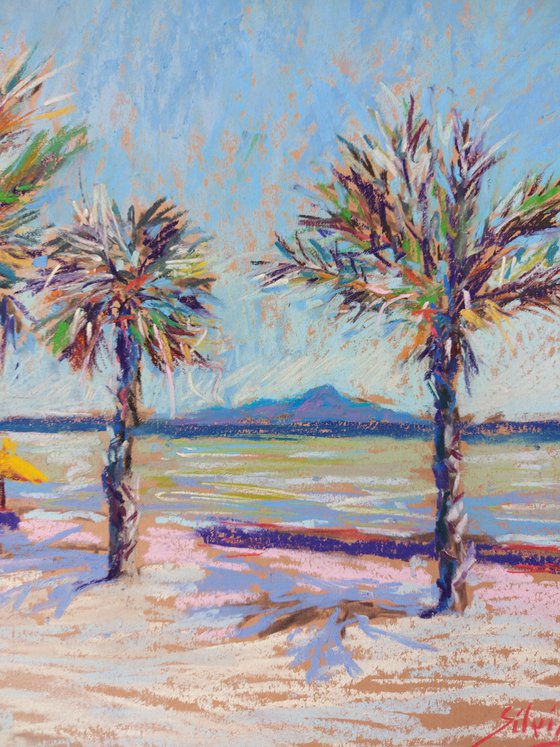 Palms by the sea