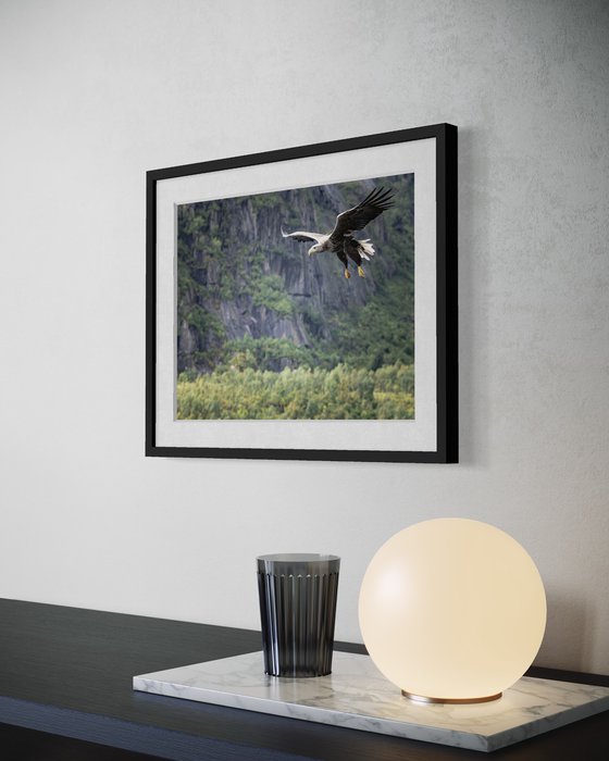 THE EAGLE ATTACK
