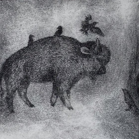 Buffalo And Starlings