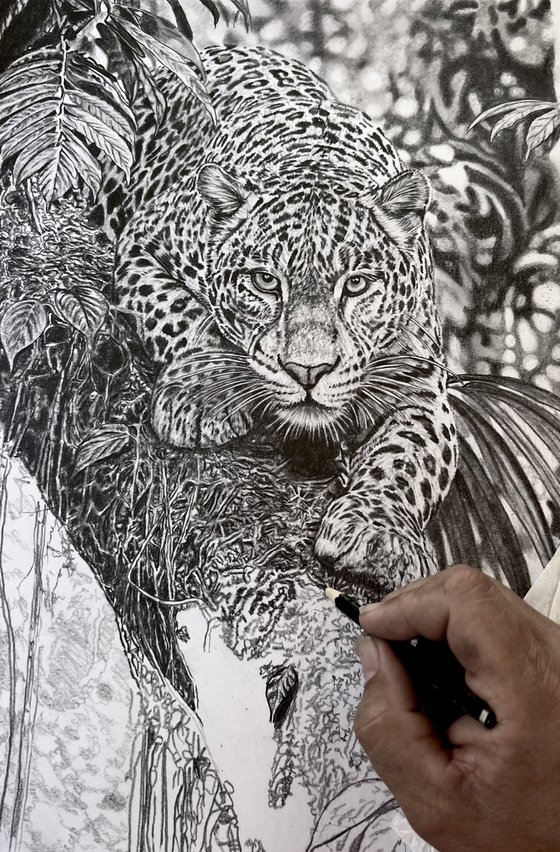 Jungle Leopard