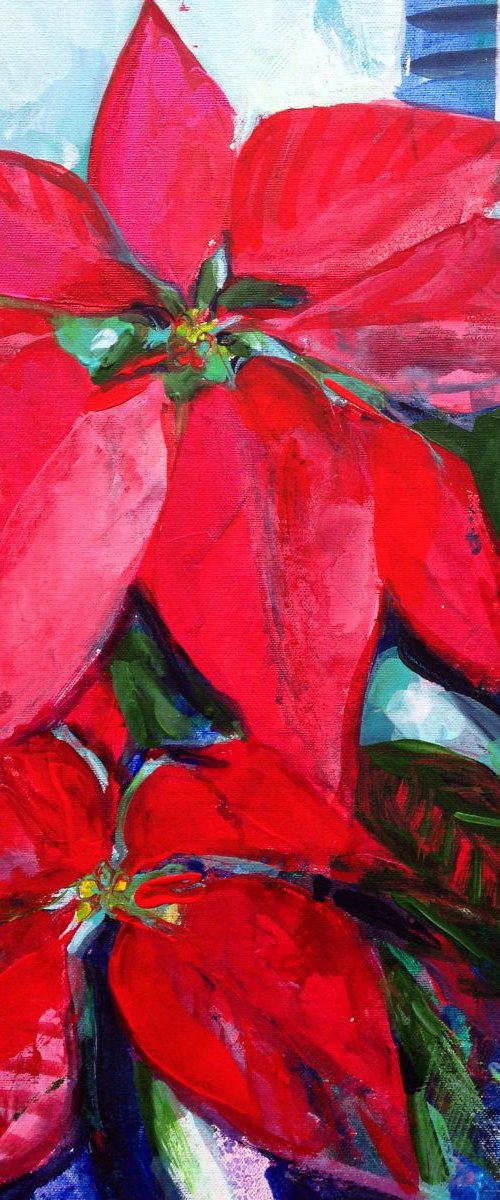Poinsettia by Olga Pascari