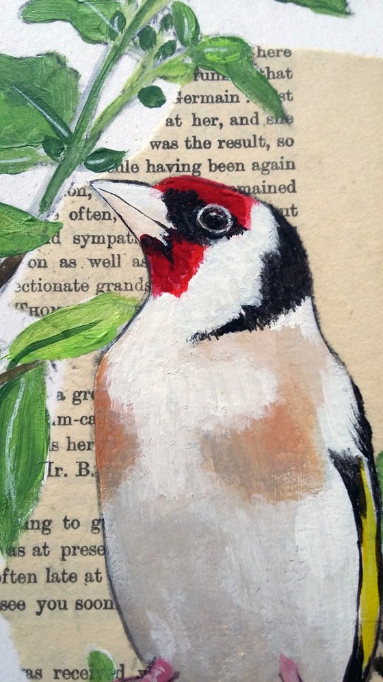 Goldfinches -  Framed ready to hang original artwork