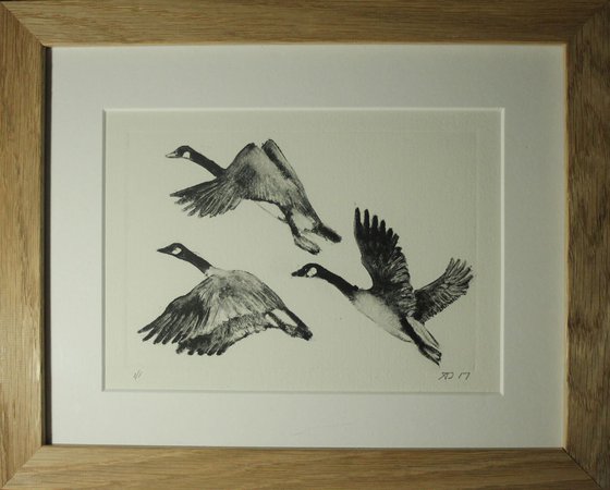 Flying Birds, Geese Monoprint, Monotype Print Framed