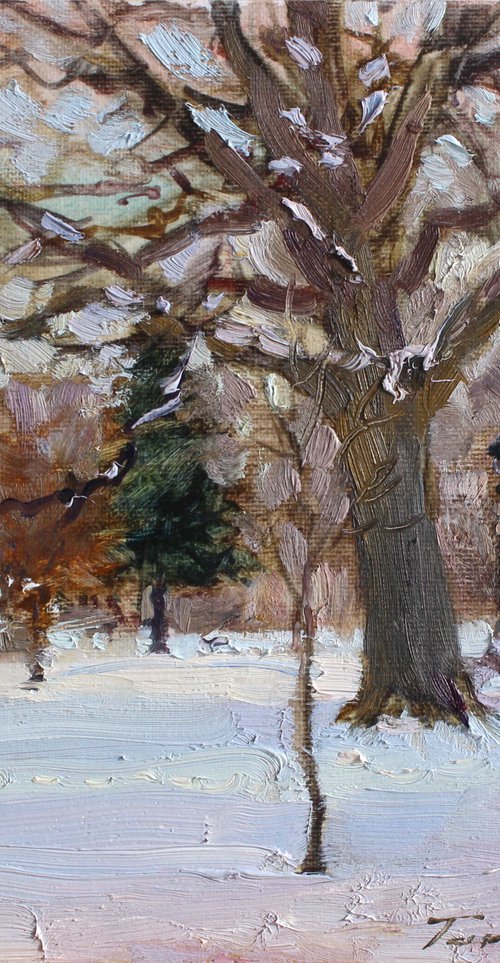 Winter Thaw by Volodymyr Tarabanov