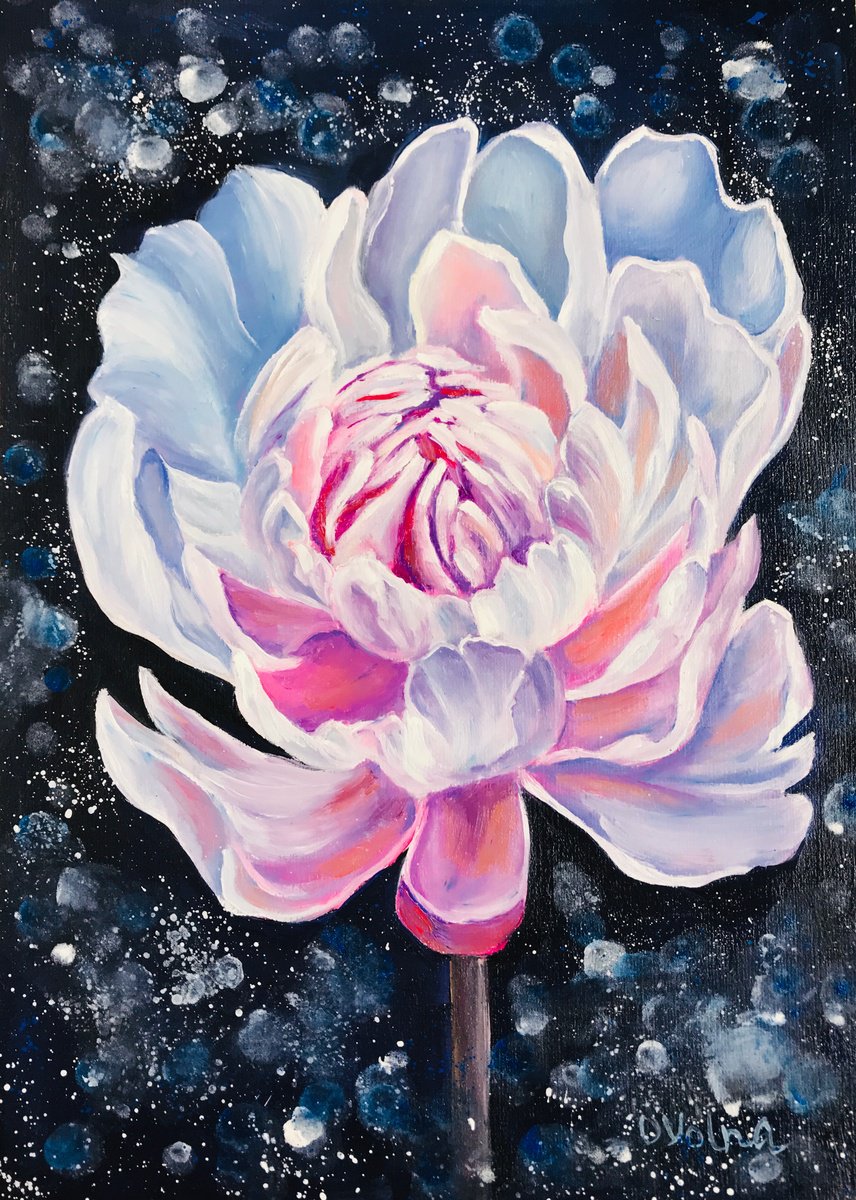 Magic Peony by Olga Volna