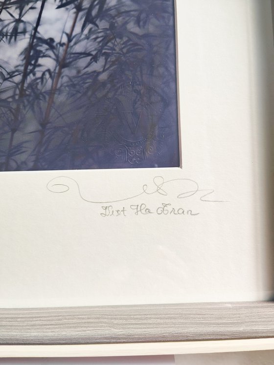 (FRAMED) The power of simplicity II