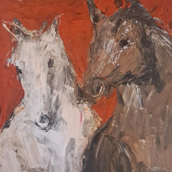 Connemara pony and friend