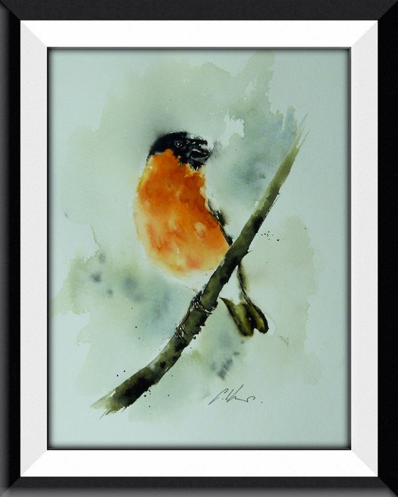 Bullfinch