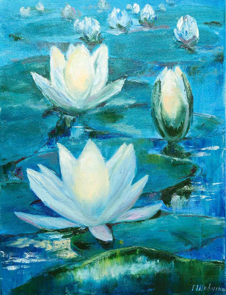 Impressionistic Botanical Oil Painting By Galyna Shevchencko, 12 X 16, White Waterlilies, Original Artwork